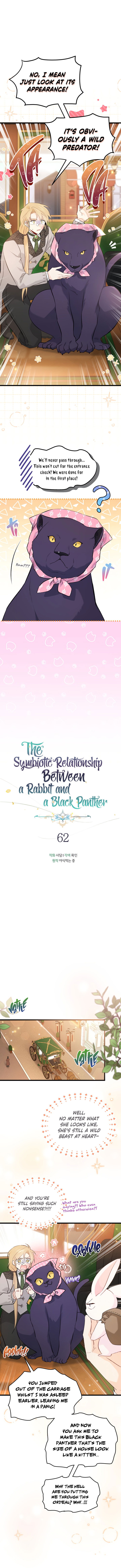 the-symbiotic-relationship-between-a-rabbit-and-a-black-panther-chap-62-3